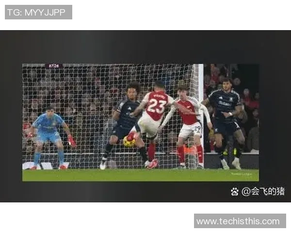 裁判承认误判致阿森纳进球被取消赛后致歉引发热议