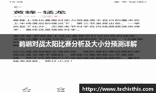 鹈鹕对战太阳比赛分析及大小分预测详解