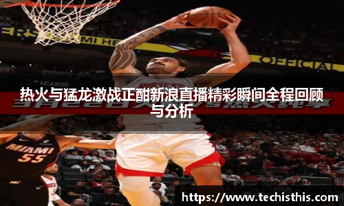 热火与猛龙激战正酣新浪直播精彩瞬间全程回顾与分析